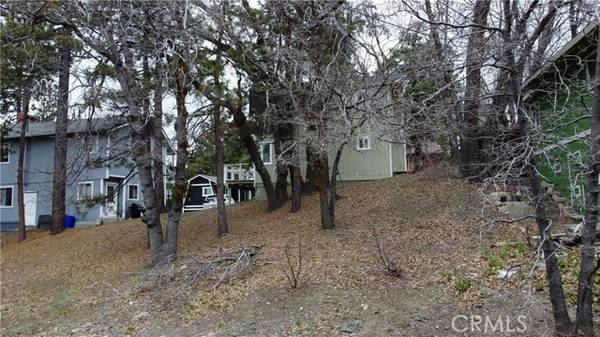 Arrowbear, CA 92382,707 Blue Bird Ln