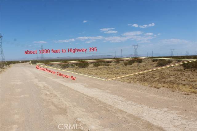 Adelanto, CA 92301,111 Buckthorne Canyon