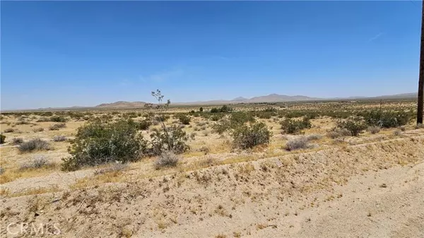 Helendale, CA 92342,1 Buckhorn Trail