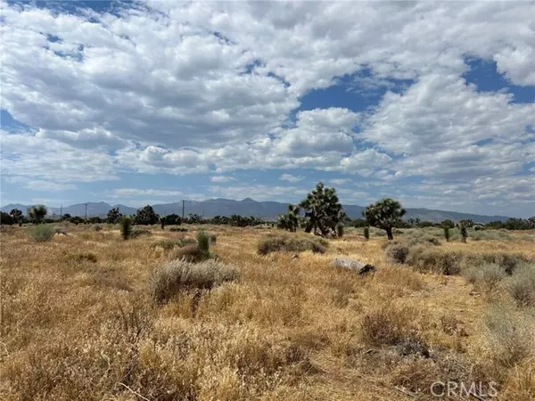 Phelan, CA 92371,0 White Fox Trail