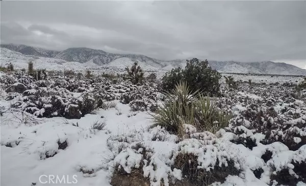 Lucerne Valley, CA 92356,10 Mesa