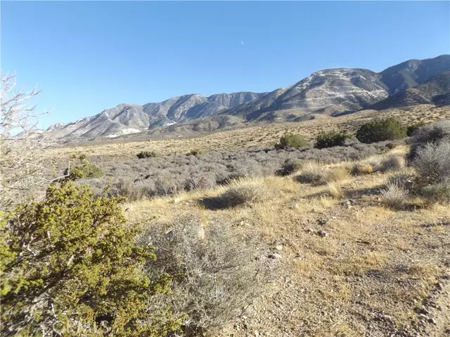 Lucerne Valley, CA 92356,10 Mesa