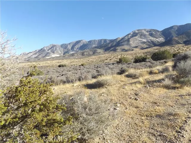 10 Mesa, Lucerne Valley, CA 92356