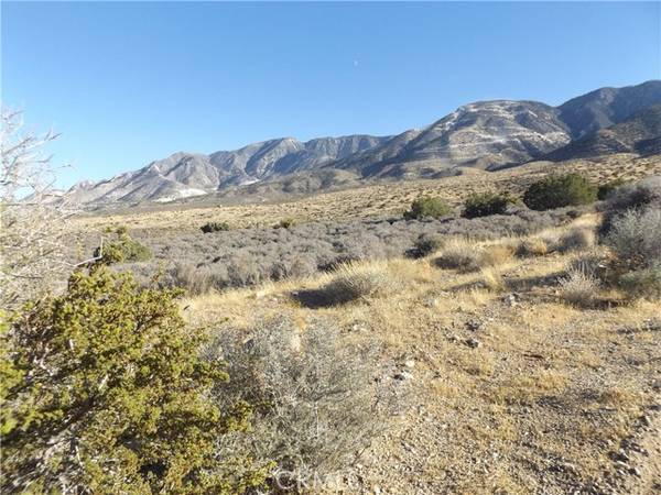 10 Mesa, Lucerne Valley, CA 92356