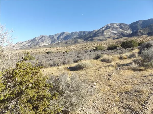 Lucerne Valley, CA 92356,10 Mesa