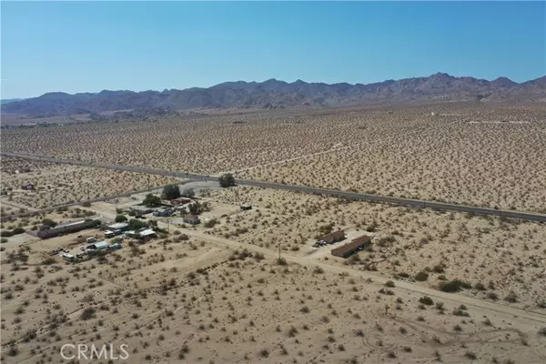 Joshua Tree, CA 92252,700 Verbena