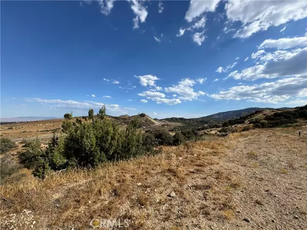 Pinon Hills, CA 92372,8320 Zohra Canyon