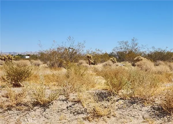 Lucerne Valley, CA 92356,509 Baker