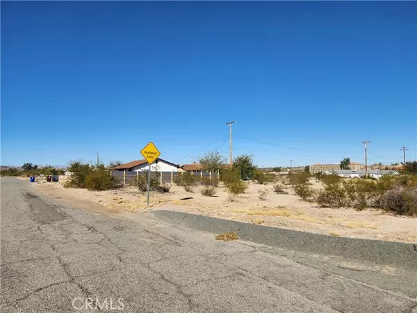 29 Palms, CA 92277,4 Juniper