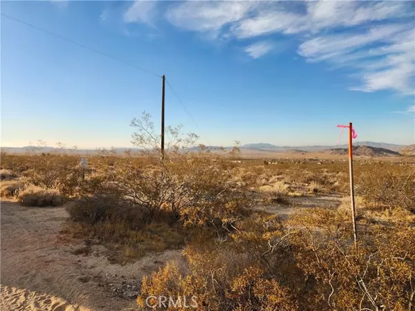 Johnson Valley, CA 92285,52000 Ocotillo