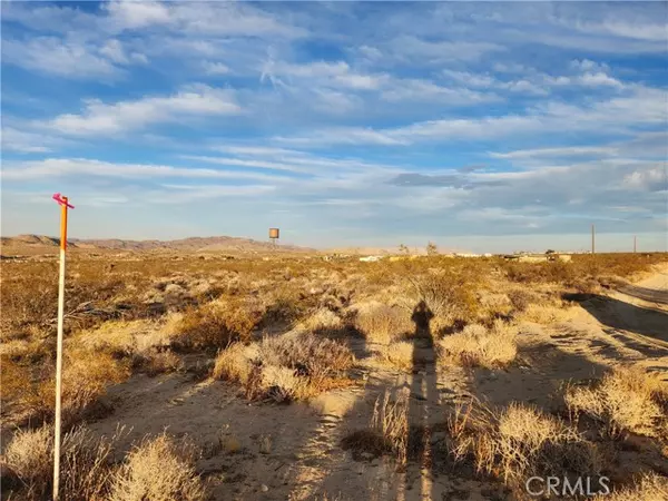 Johnson Valley, CA 92285,52000 Ocotillo