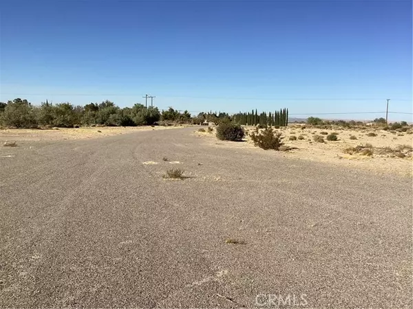 46039 Valley Center, Newberry Springs, CA 92365