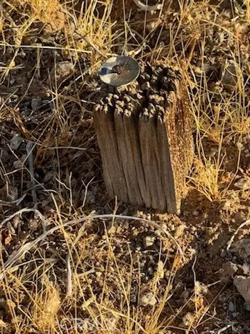 Lucerne Valley, CA 92356,0 Smoke Bush