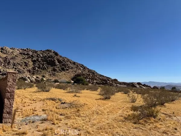 Apple Valley, CA 92307,0 Century Plant