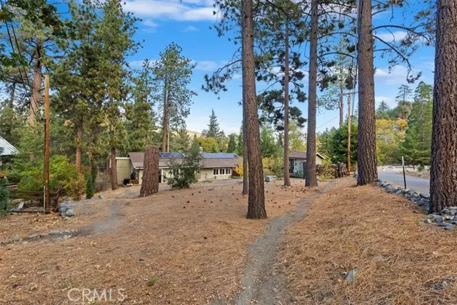 Wrightwood, CA 92397,0 Finch