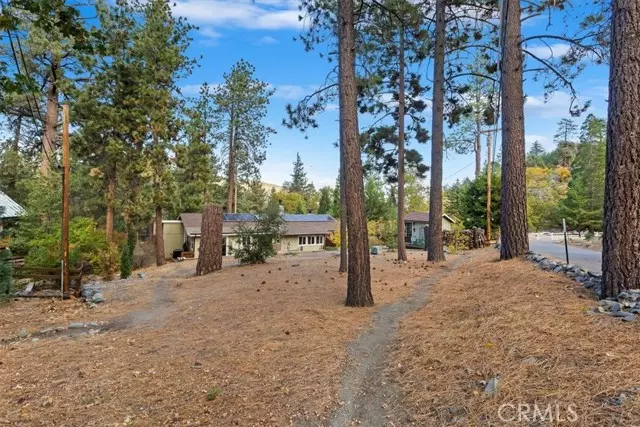 Wrightwood, CA 92397,0 Finch