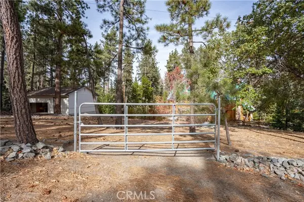 Wrightwood, CA 92397,0 Finch