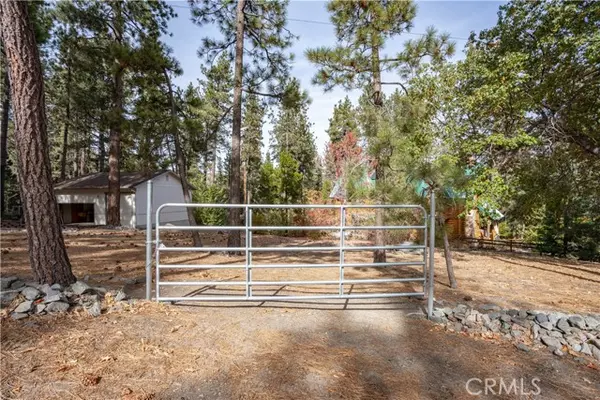 Wrightwood, CA 92397,0 Finch