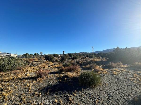 Pinon Hills, CA 92372,0 Phelan