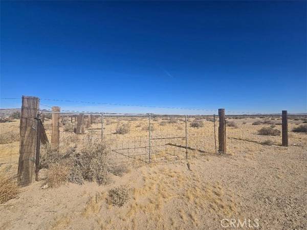 0 Minneola / Marlowe, Newberry Springs, CA 92365