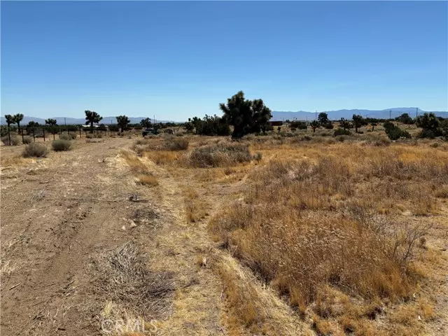 Phelan, CA 92371,0 Vinton