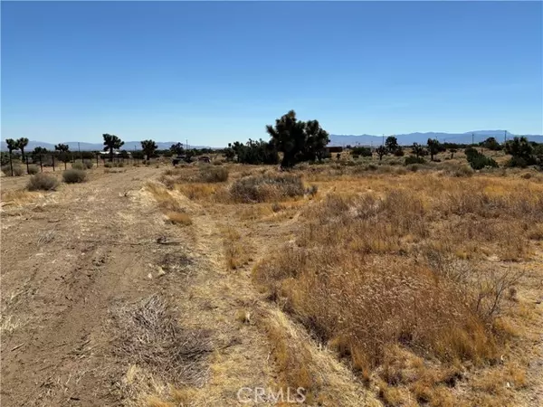 0 Vinton, Phelan, CA 92371