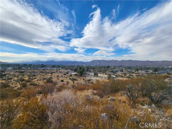 Yucca Valley, CA 92284,164 Joshua