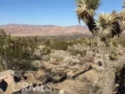 Lucerne Valley, CA 92356,40 Powerline