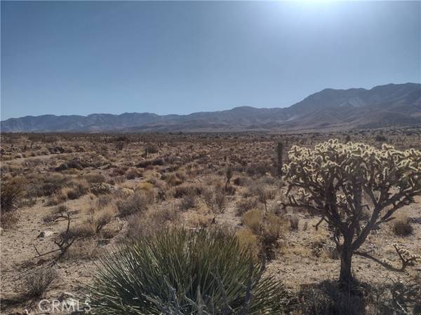 40 Powerline, Lucerne Valley, CA 92356