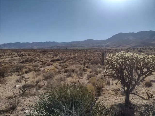 40 Powerline, Lucerne Valley, CA 92356