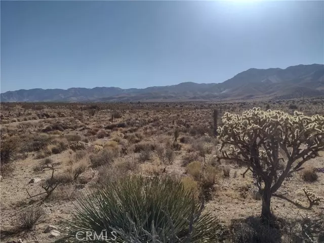 Lucerne Valley, CA 92356,40 Powerline