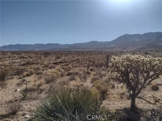 Lucerne Valley, CA 92356,40 Powerline