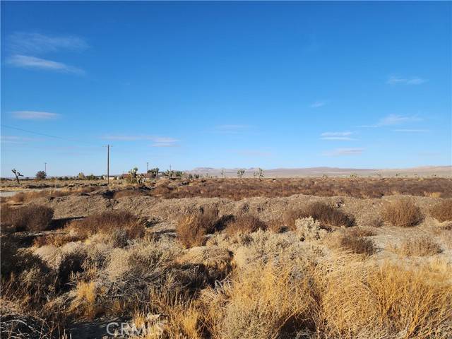 10000 El Mirage, Adelanto, CA 92301