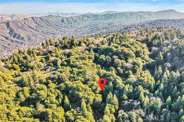 Cedarpines Park, CA 92322,0 Near Mojave River