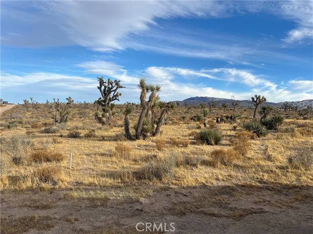 Apple Valley, CA 92308,23926 Poppy