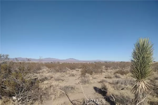 Lucerne Valley, CA 92356,10 Banta