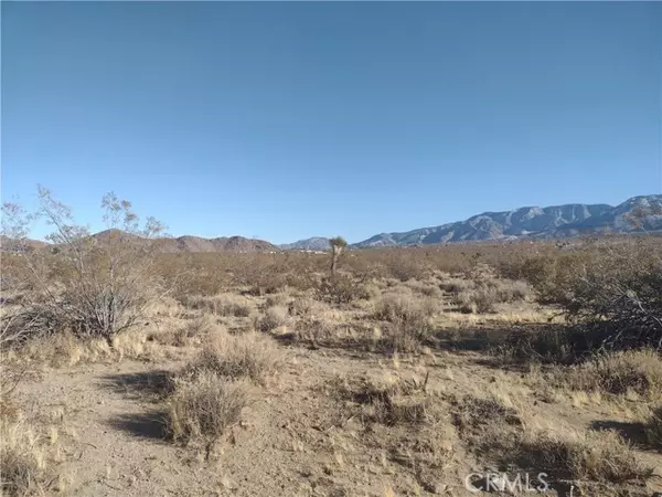 Lucerne Valley, CA 92356,10 Banta