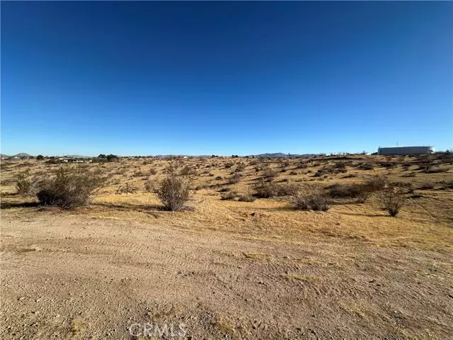 Apple Valley, CA 92308,0 Wren