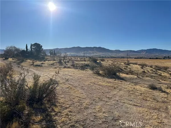 Apple Valley, CA 92308,0 Wren