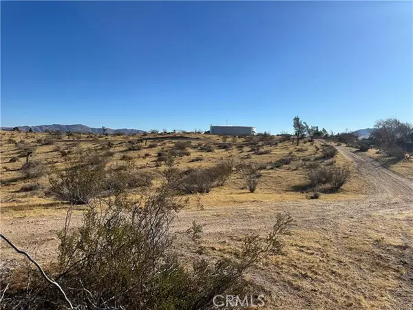 Apple Valley, CA 92308,0 Wren