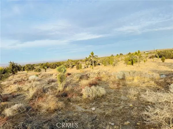 0 Evergreen Ct, Pinon Hills, CA 92372