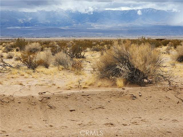 Lucerne Valley, CA 92356,501 Lantana