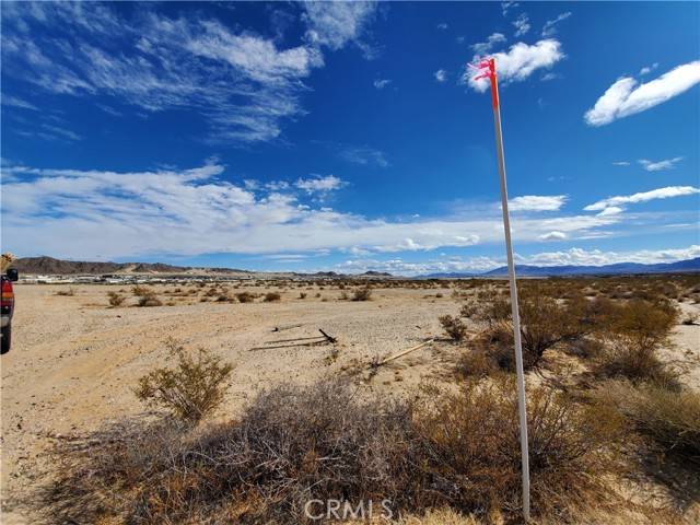 29 Palms, CA 92277,21 Morongo