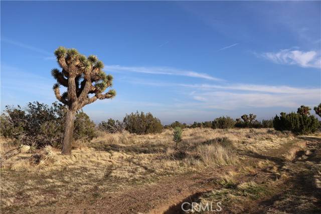 Oak Hills, CA 92344,9955 Macron
