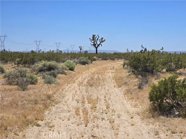 Adelanto, CA 92301,10 Beaver