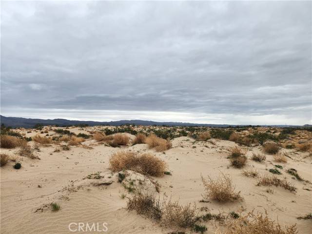 Newberry Springs, CA 92356,40 on Yearling
