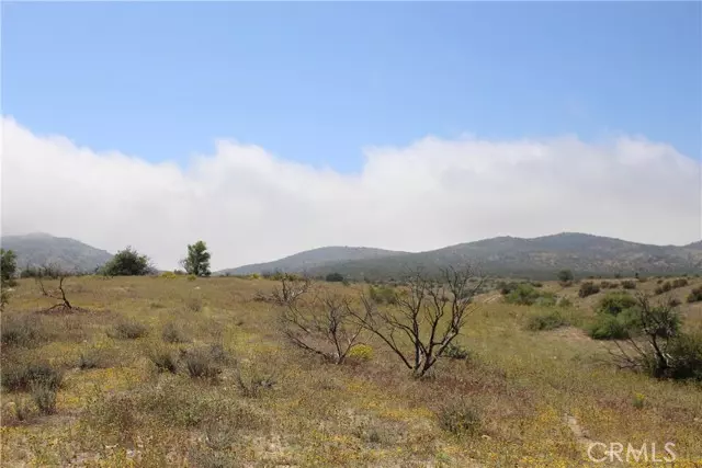 0 Wilson Ranch, Phelan, CA 92371