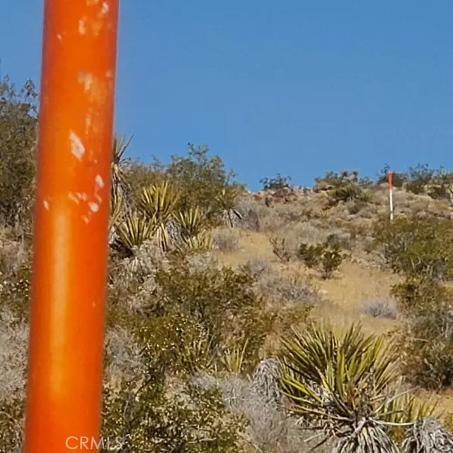 Lucerne Valley, CA 92356,31303 Verde