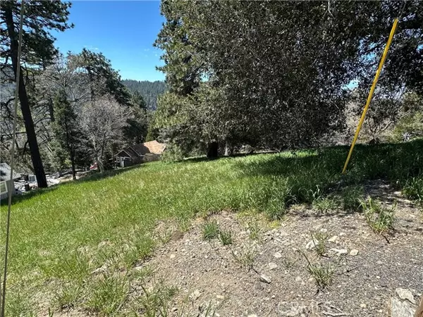 Cedarpines Park, CA 92322,0 Elliot