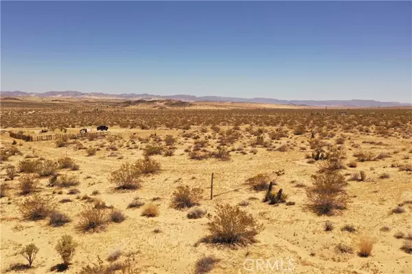 29 Palms, CA 92277,0 Mantonya